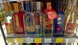 成都光瓶酒市场调研：三派混战，向高而行