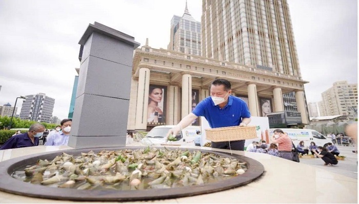 万“粽”一心！土灶煮粽，唤醒城市“烟火” 