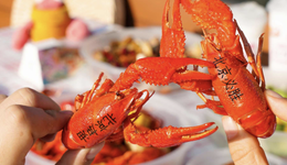 北京餐飲人的5月自救