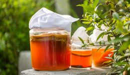 发酵食品，一股穿越百万年的食品力量