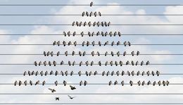 逆境之时，为什么有的企业还可以活得不错？