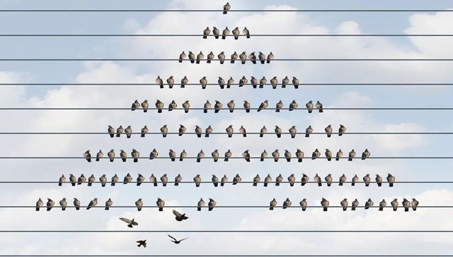 发展战略,长期主义