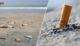 6块钱1斤，回收烟头到底是门什么生意？