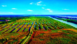 全省唯一，济宁荣获“国际湿地城市”称号