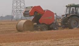 新乡市延津县：“秸”尽其用 探索秸秆综合利用新模式