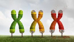 三种新技术，或可逆转人类衰老