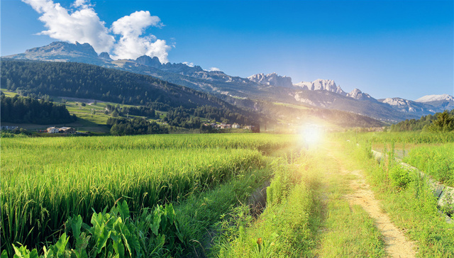平度：按下大项目建设“加速键”印象胶东·袁家村项目开工