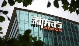 双语直播带货出圈，新东方转型背后的不易与坚定