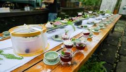 最美云湖姑娘杨梅音乐节暨中国新乡村创作营公演