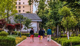 新乡延津城管局“马路办公”解难题