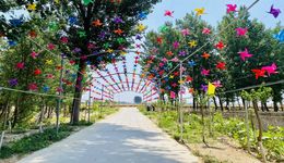 助推乡村旅游发展 新乡延津农村人居环境提升