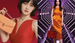 电影咖，你比电视咖高一咖？