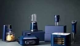 顺德神秘“代工之王”的十字路口