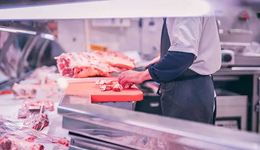 重識蛋白質(zhì)（中）：替代蛋白與水產(chǎn)養(yǎng)殖，并非最優(yōu)解