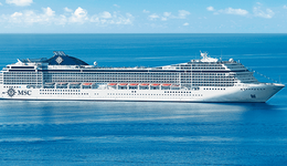 抓住机遇迎来春天，中国邮轮市场发展新思（下）