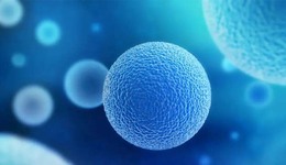 “外泌体”是医美界的下一个风口？追吗？