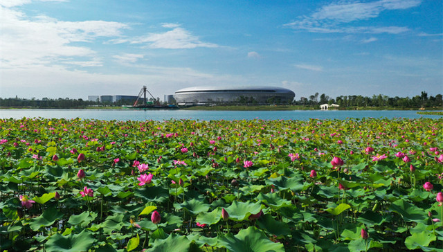 成都大运会共建共享惠民行动——龙泉驿区6·26公众开放日活动圆满举行