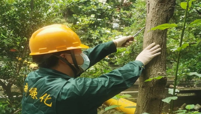 又到白蚁纷飞季，普陀的他们全力以赴，迎战白蚁“大军”