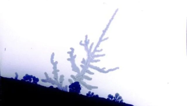 固态电池,锂电池,技术创新