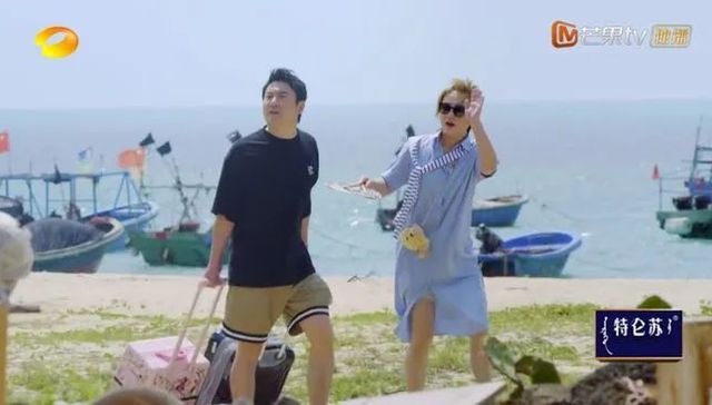 广告赞助,向往的生活,综艺,嘉宾