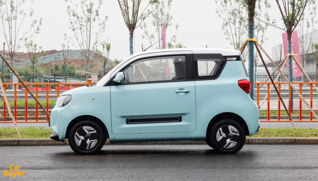 微型电动车,市场份额