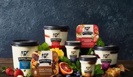 拿什么拯救你，“減速”的酸奶？