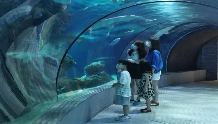 久违的文旅体验回来了！普陀区旅游景区、博物馆逐步恢复开放