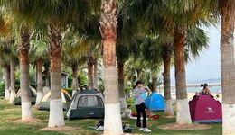 中产精致生活“三件套”：骑行、露营与飞盘