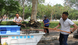 新乡城管局：担起责任，写好防汛答卷