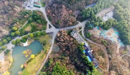 “直播向左，牟利向右”？動(dòng)物直播如何監(jiān)管