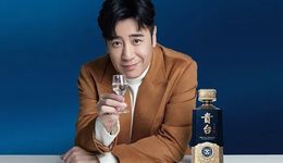 牛散老板又被监管批评，“保健酒第一股”由乱到治还要多久？