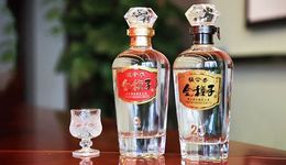 22年雪花老兵履新金种子，华润或是白酒的超级变量