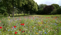 特别策划 | 生活就该美好下去