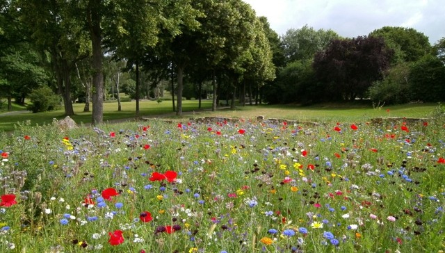 新冠肺炎,疫情防控,生活方式,生活美学