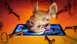 杀猪盘Tinder跌落神坛，新一代约会APP花样百出