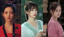 爱豆生涯原是梦，最好混成综艺咖