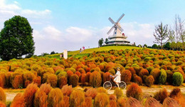 成都青白江文创产业5年增加值净增长10倍