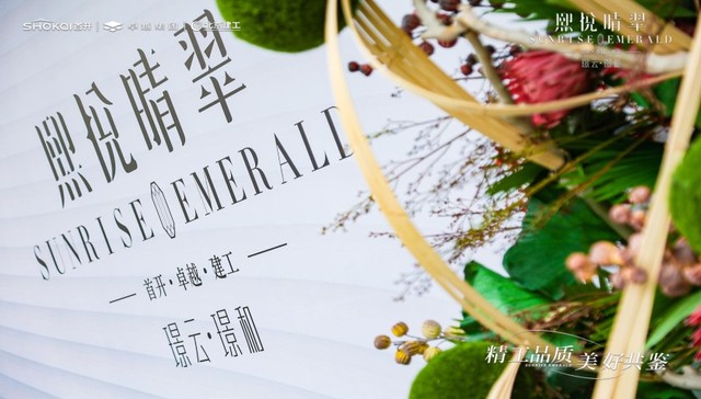 后疫情时代，购房新思维|熙悦晴翠媒体品鉴会圆满举行！