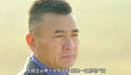 认养一头牛，还是共享一头牛？