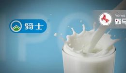 “养牛种草的农民”年卖2.5亿元的生鲜乳给蒙牛，即将收获一个IPO