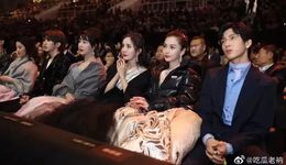 哪家社區(qū)，最愛明星？