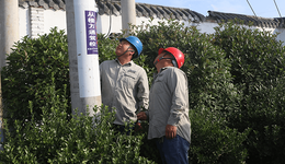 国网正阳供电公司：全力以赴保供电