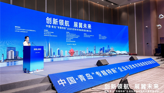 青岛：金融赋能、创新领航，聚力构建“专精特新”高质量发展新格局
