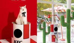 食品品牌的营销套路失效，什么才是年轻人的“小宝贝”？