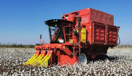 國(guó)產(chǎn)采棉機(jī)，全球新增長(zhǎng)極的野望