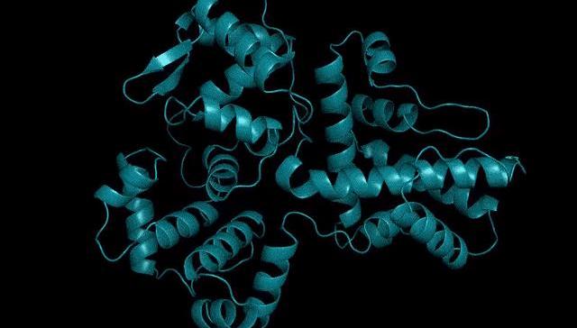 meta,蛋白质,氨基酸,计算机,科技