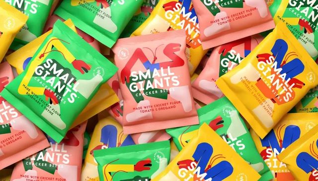 昆虫蛋白,市场价值,环保,食品健康