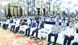 新消费、新国货，从海南自贸港迈向世界舞台