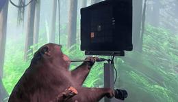 马斯克自曝大脑已上云，“意识永生”真能实现？