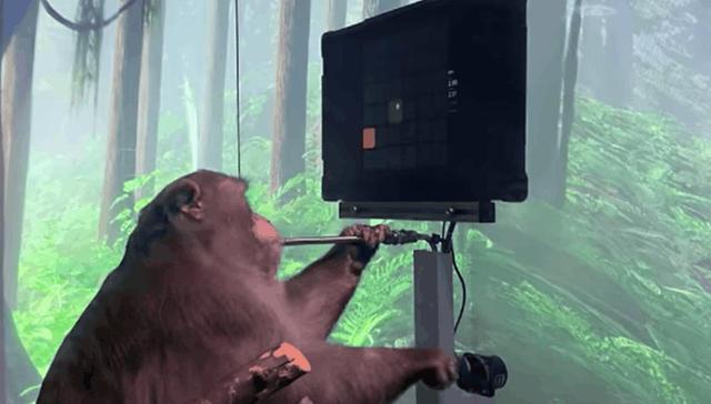 马斯克,互联网,人工智能,科技,科幻